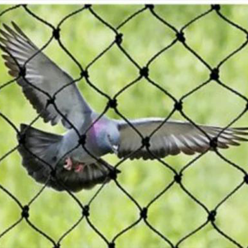 For Window & Open Area Bird Nets