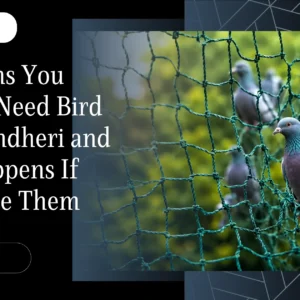 Top 7 Signs You Urgently Need Bird Nets in Andheri, and What Happens If You Ignore Them