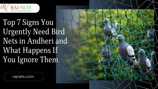 Top 7 Signs You Urgently Need Bird Nets in Andheri, and What Happens If You Ignore Them