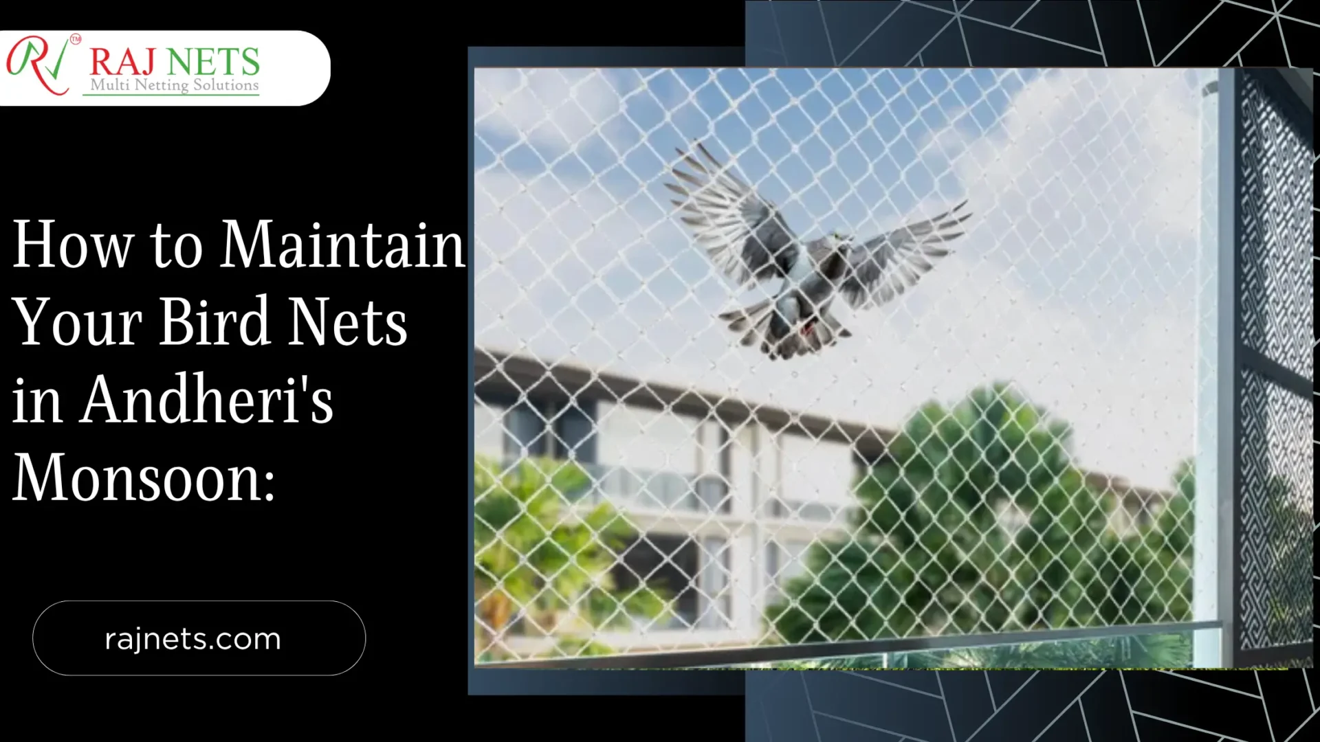 bird nets in andheri