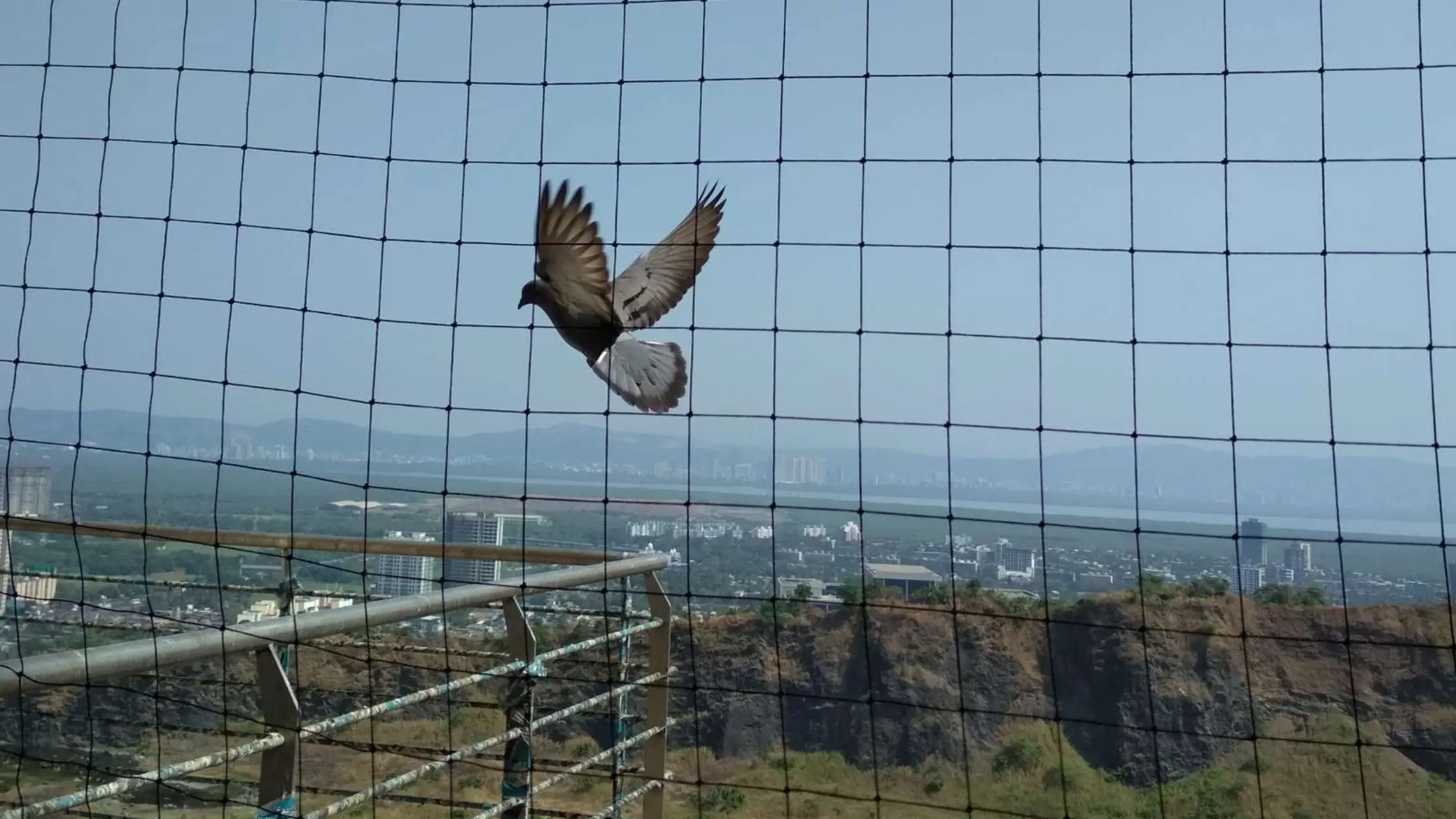 netting solutions in andheri